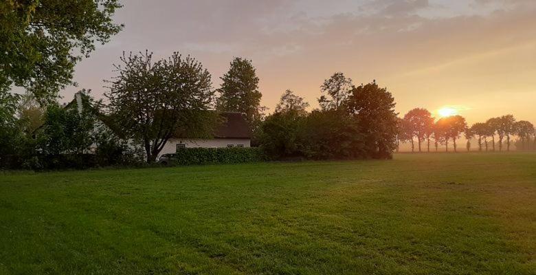 Guesthouse Rijsbergen_Zundert Екстериор снимка