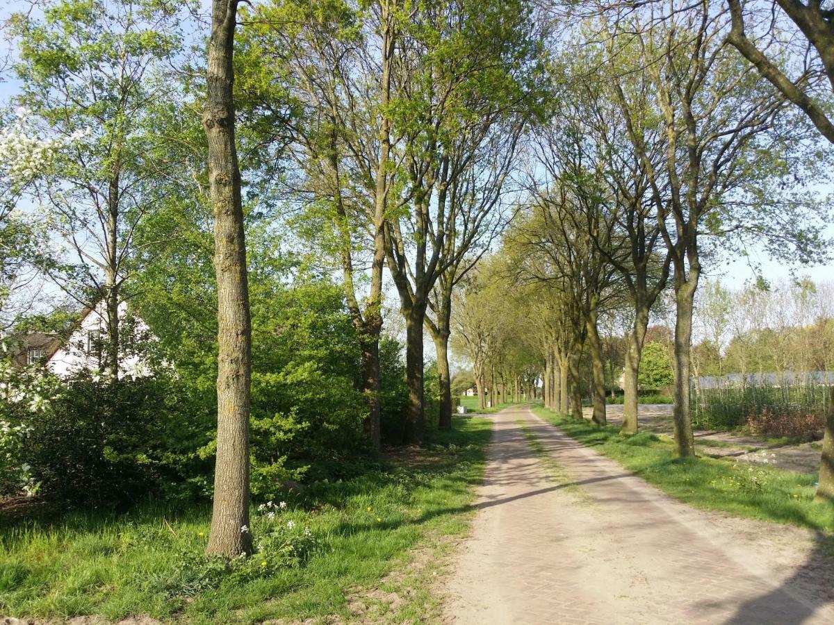 Guesthouse Rijsbergen_Zundert Екстериор снимка